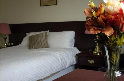 Guest room at Pelican Rapids Inn with a made bed and bedside table.